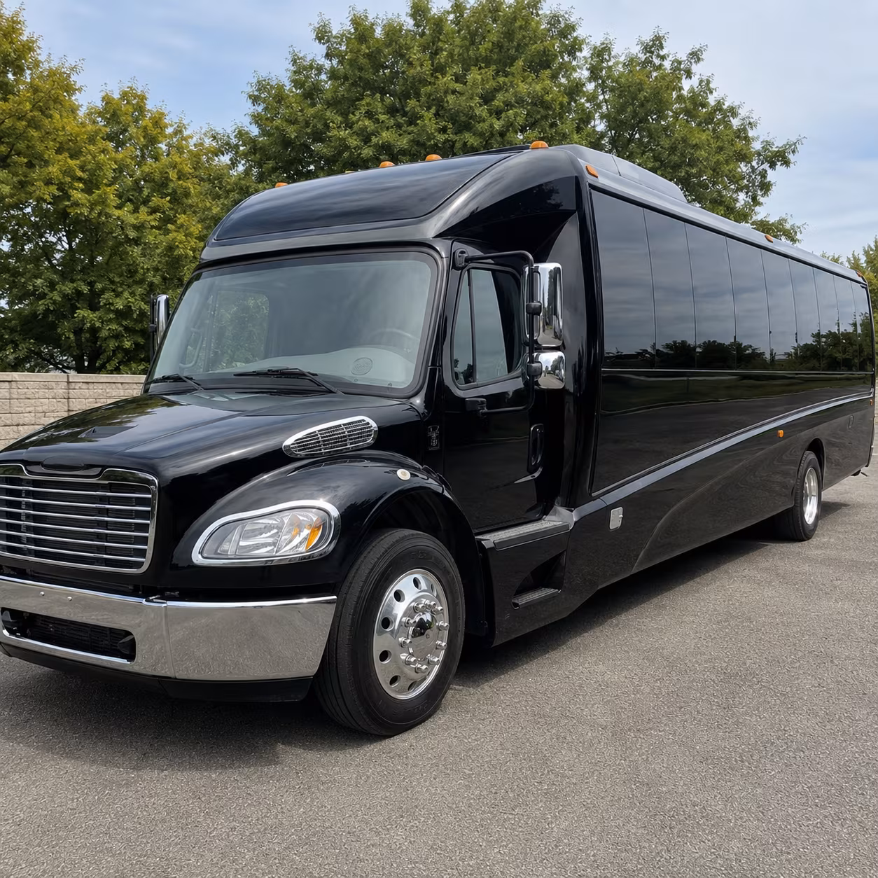 corona government military transportation